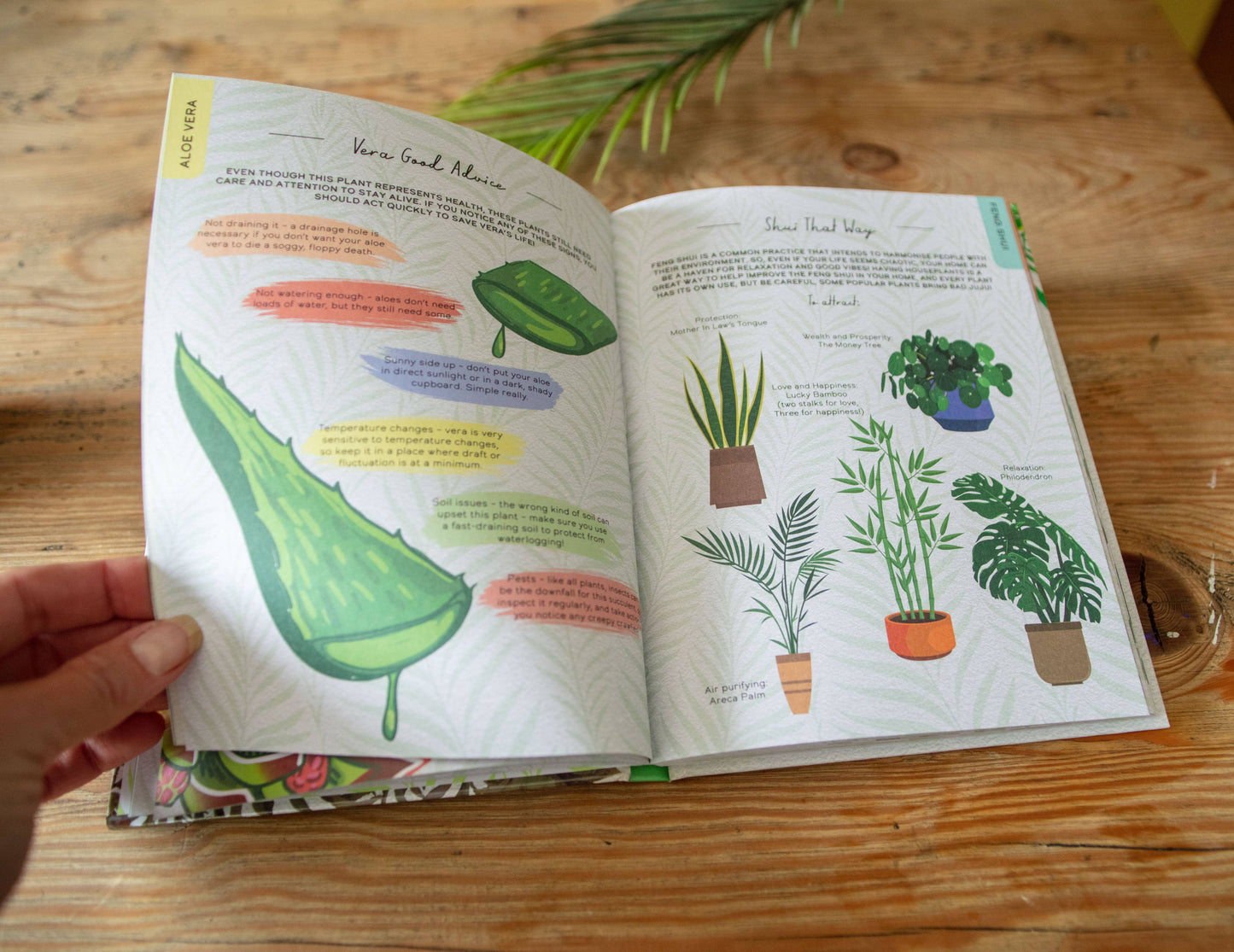 Please Don't Die - Houseplants Guide Book